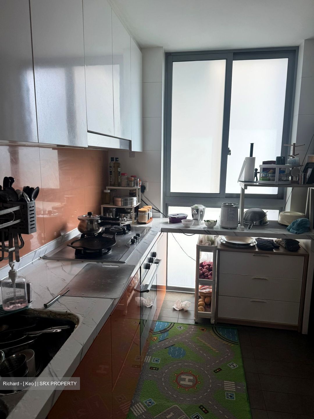 Double Bay Residences (D18), Condominium #540111621